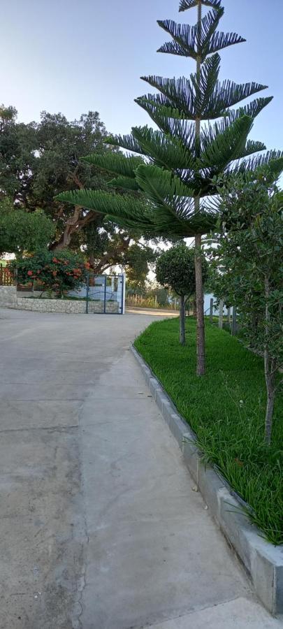 Monte Da Vinha Nova Villa Santiago do Cacem Luaran gambar