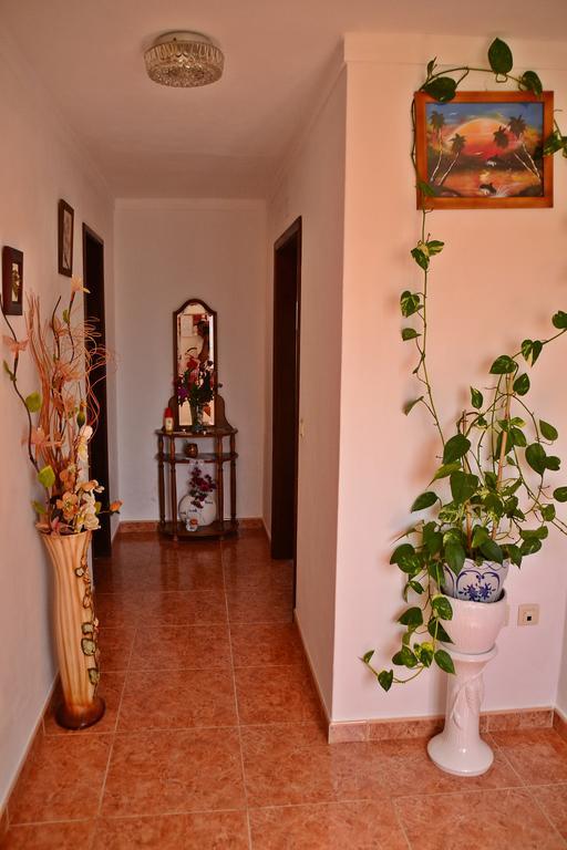 Monte Da Vinha Nova Villa Santiago do Cacem Luaran gambar
